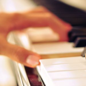 后入式操逼动态图
