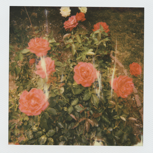 后入式操逼动态图
